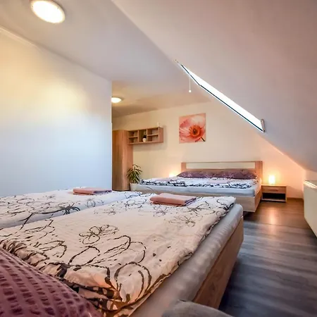 Ubytovani Pod Svetem-Apartman Trebon Exterior photo