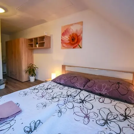 Ubytovani Pod Svetem-Apartman Trebon Exterior photo