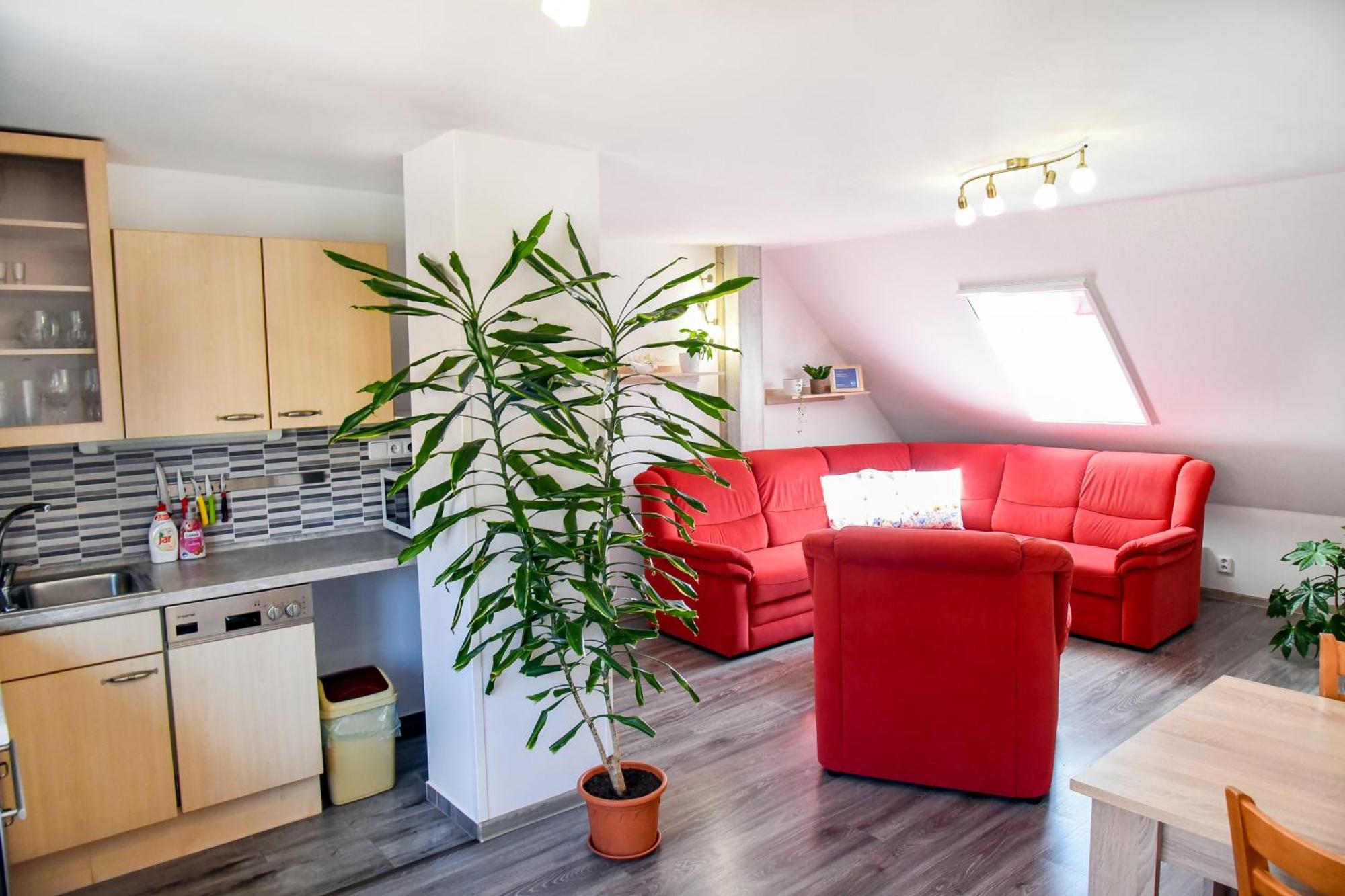 Apartment Pod Svetem-apartman Trebon